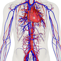 cardio vascular