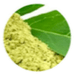 stemrenu green tee extract